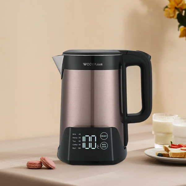 Elegant Kitchen Appliance for Boiling Water